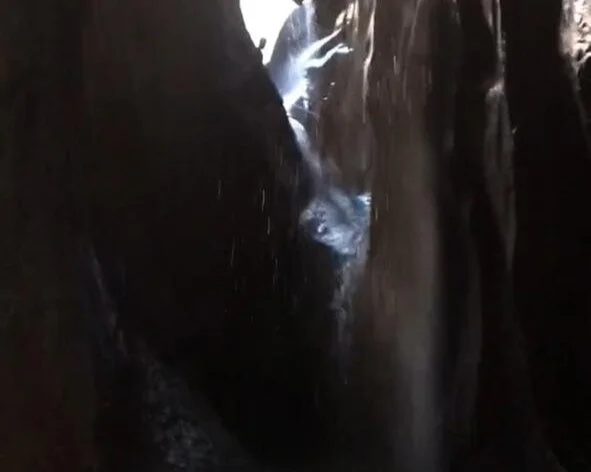 The Dark Falls (New Trip)