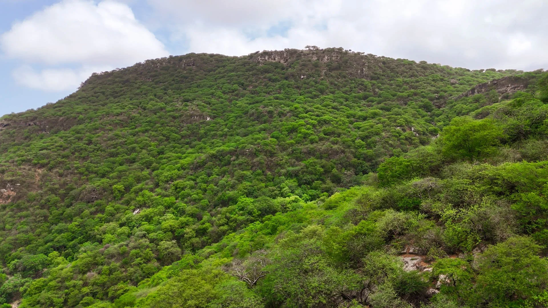 Salalah : Khareef