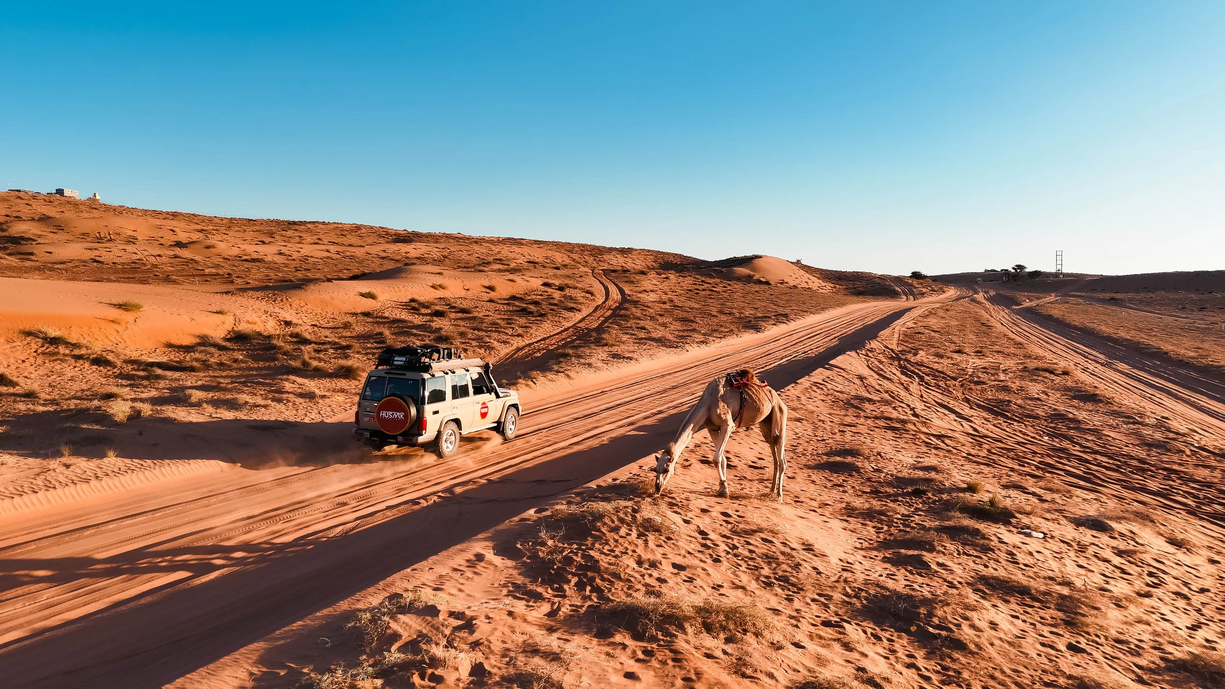 Christmas on the Dunes