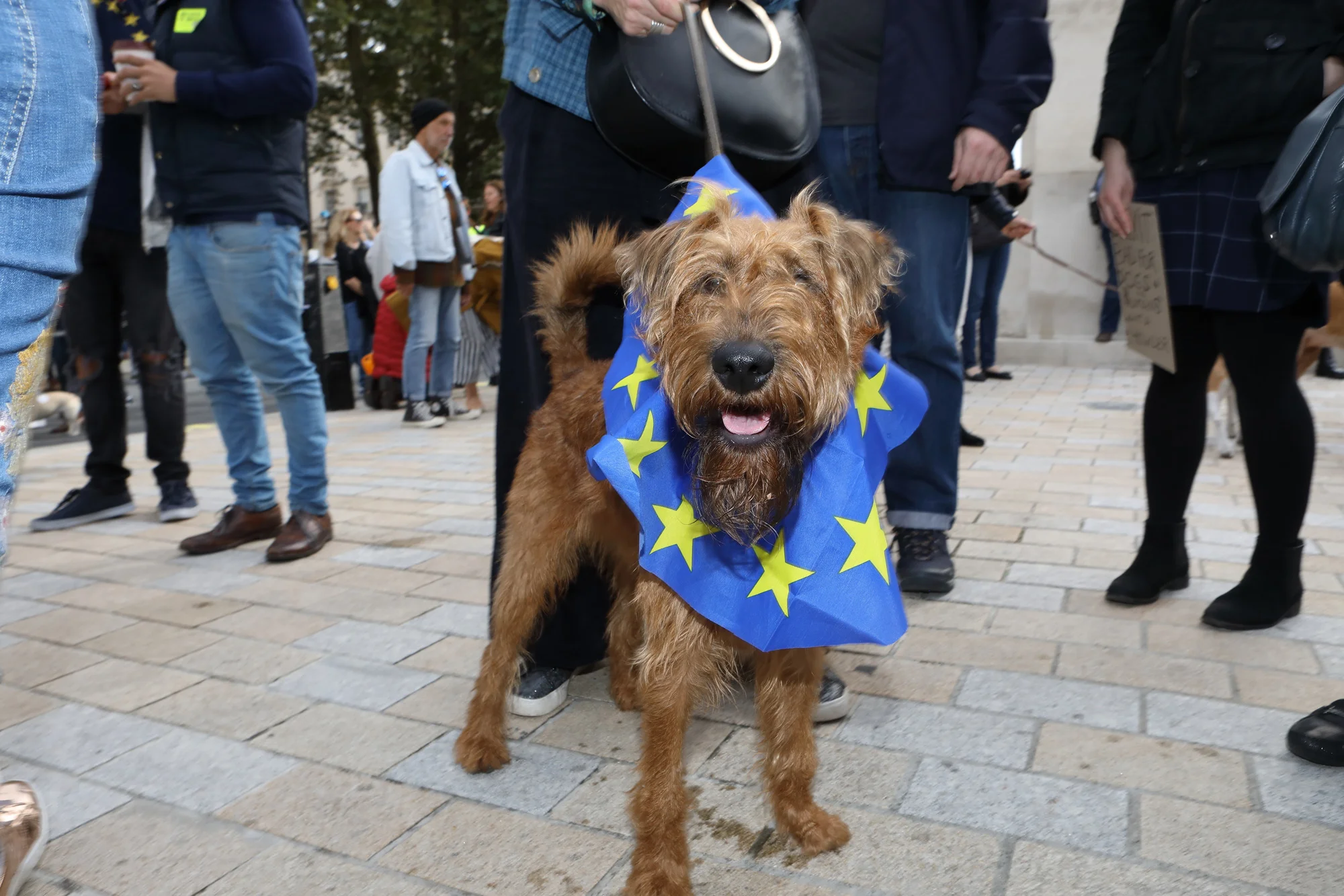 Wooferendum March, London 2018