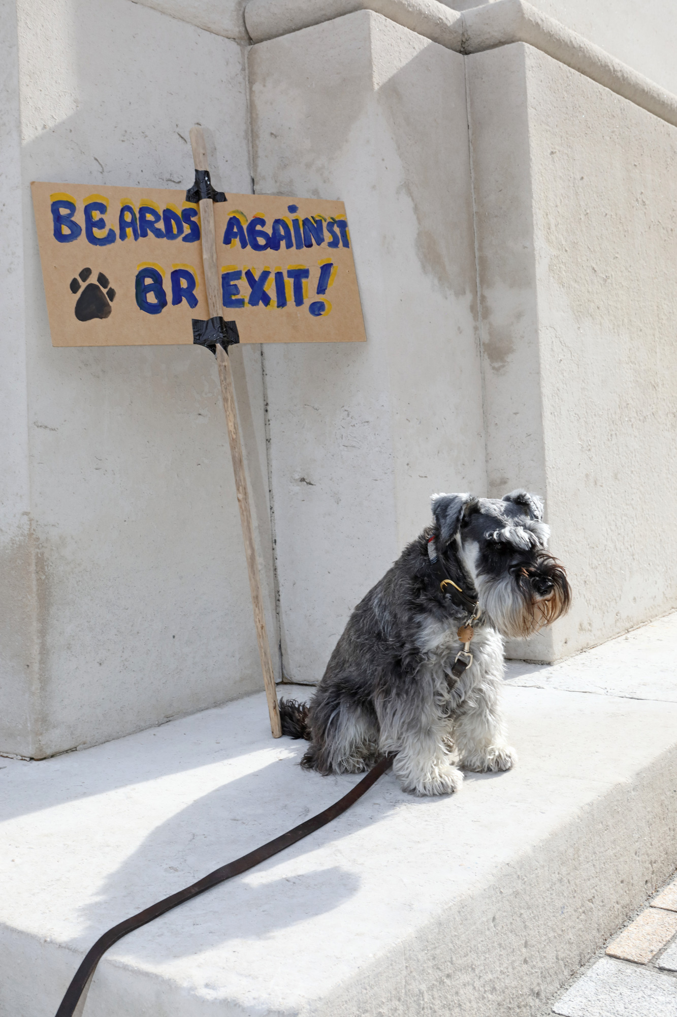  Wooferendum March, London 2018 