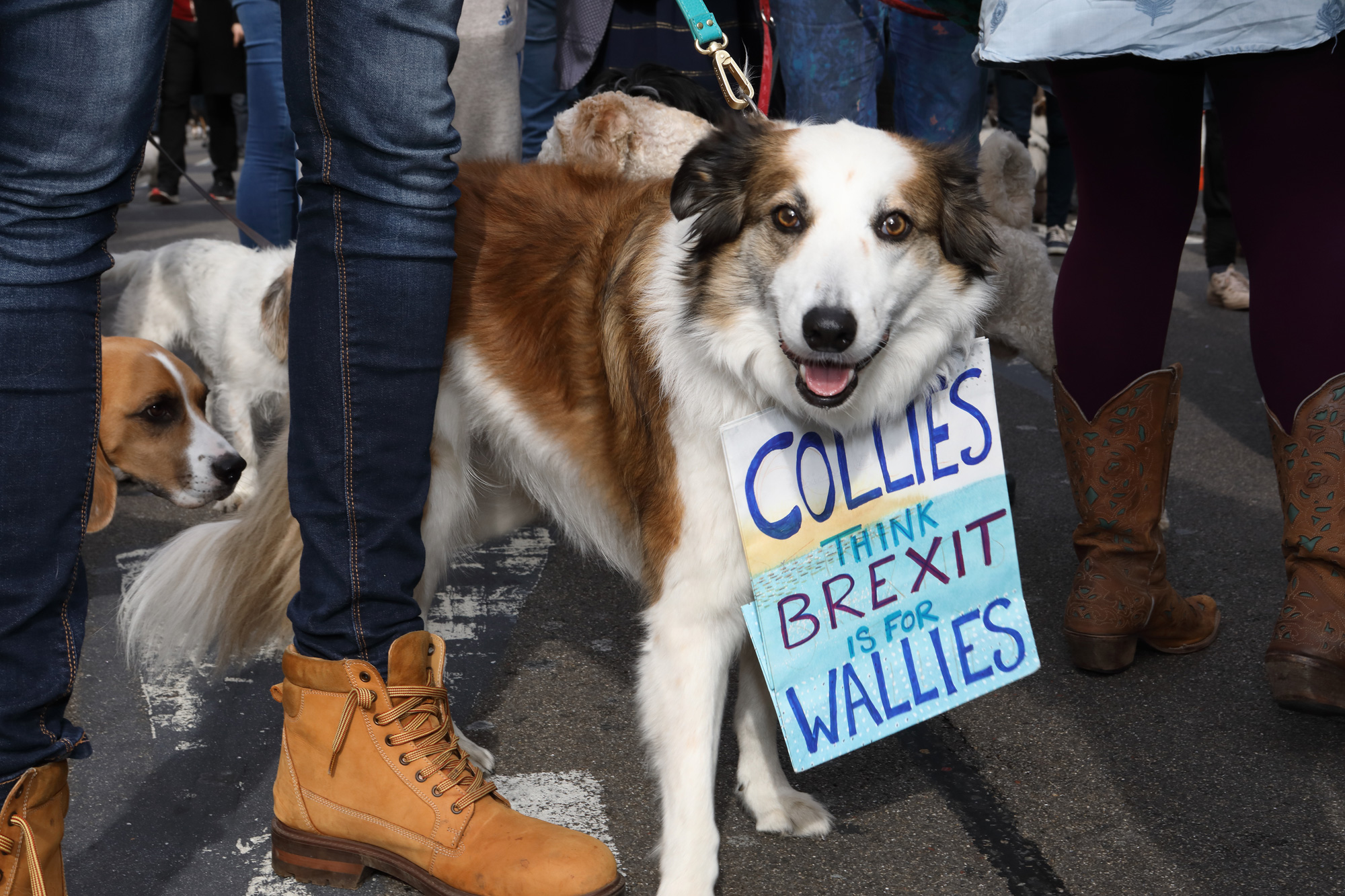 Wooferendum March, London 2018