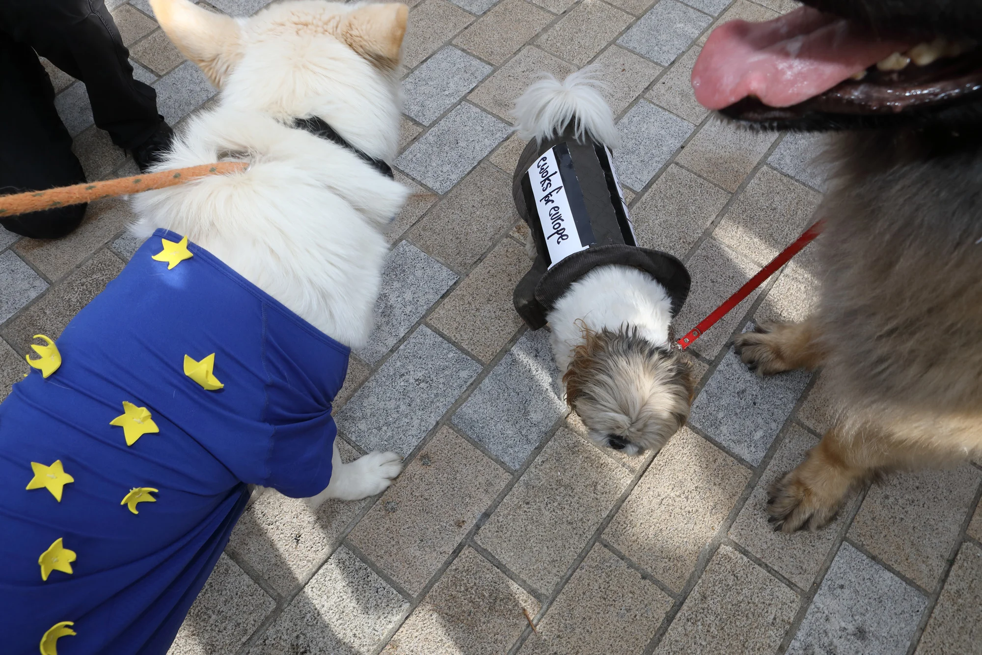 Wooferendum March, London 2018