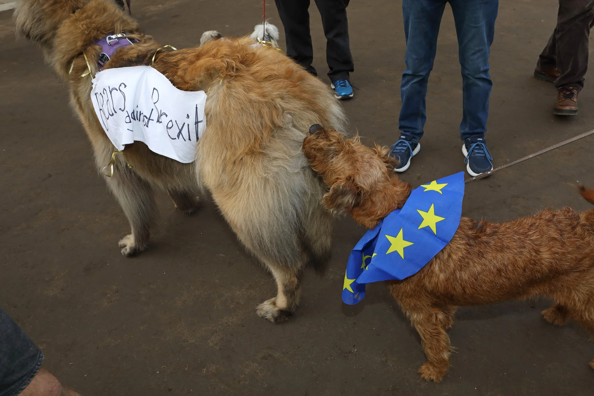 Wooferendum March, London 2018