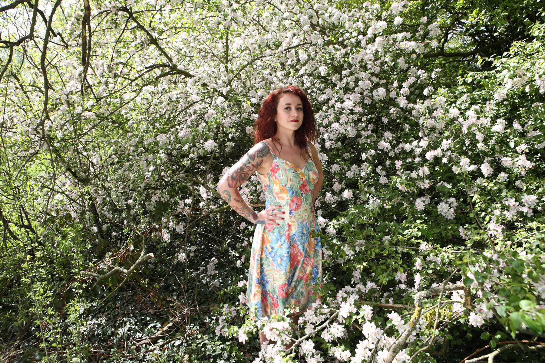 blossom-2.jpg
