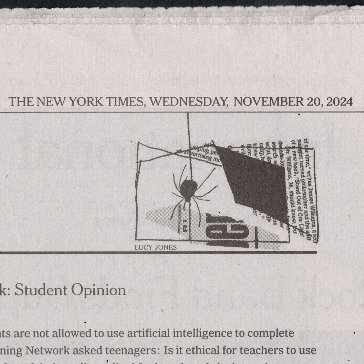 n20.jpg