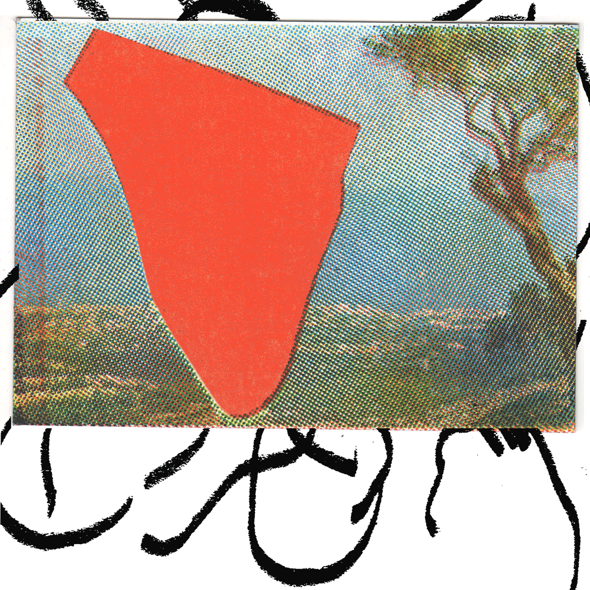 ANIMATION.gif