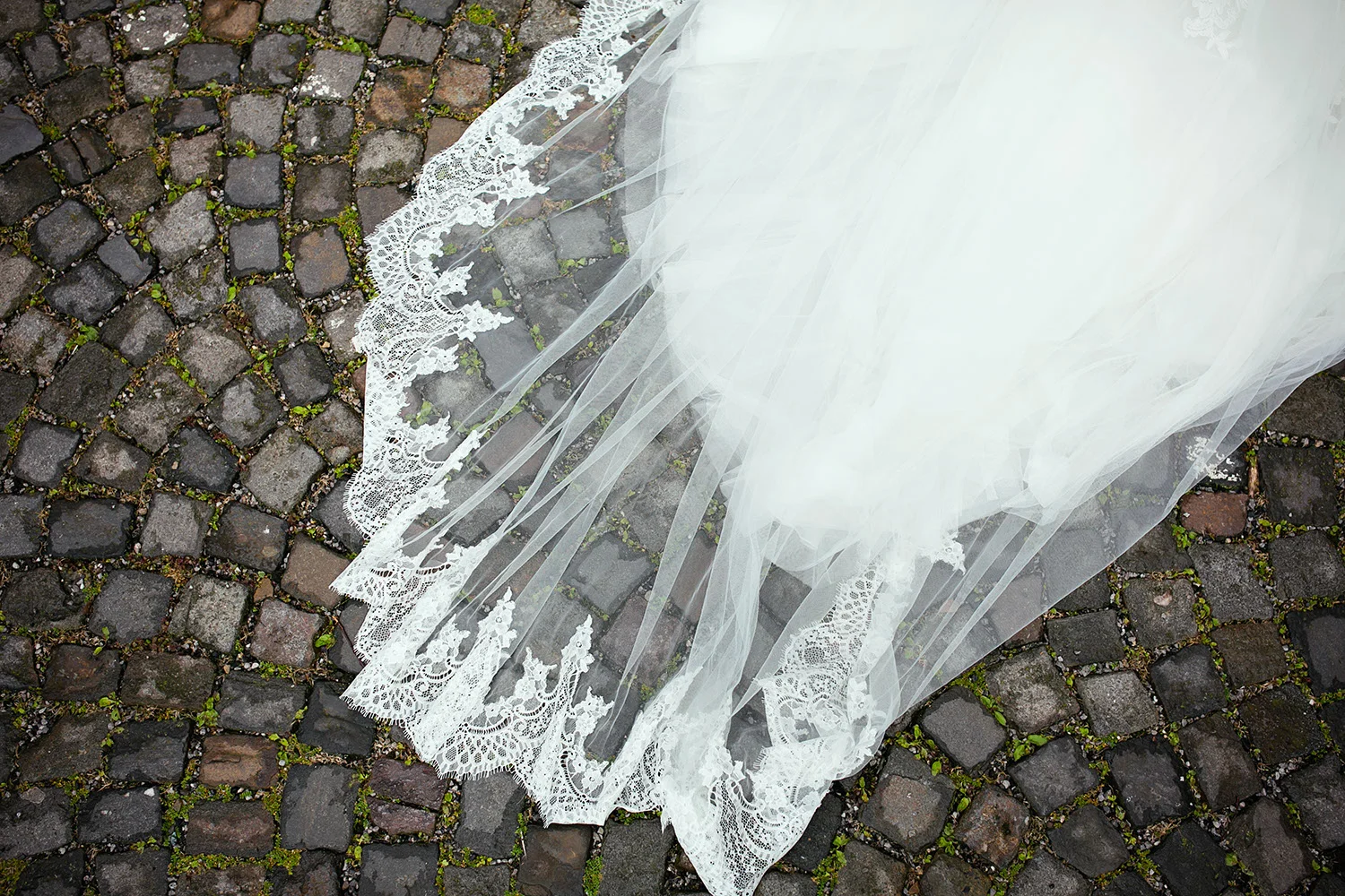 23Aug2014_Julia&Fredde_0876.jpg