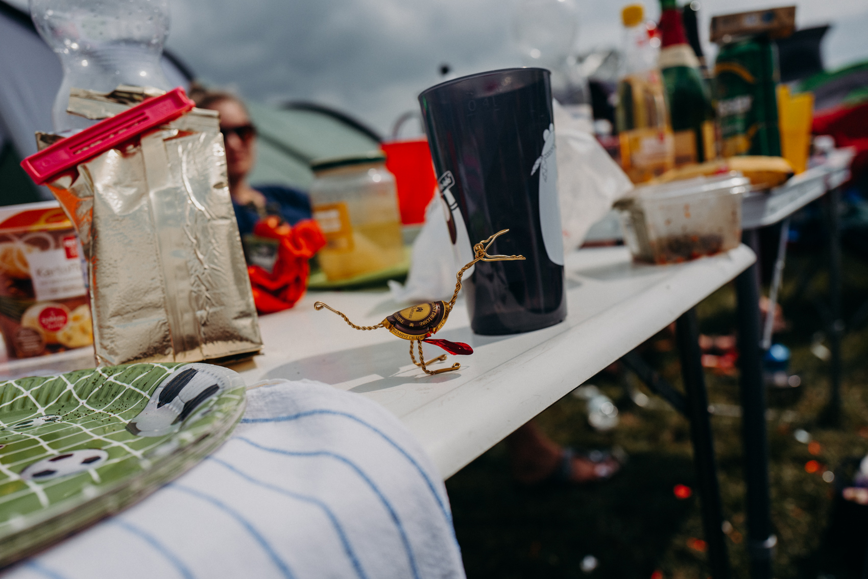 110817_haldernpop2017_0243.jpg