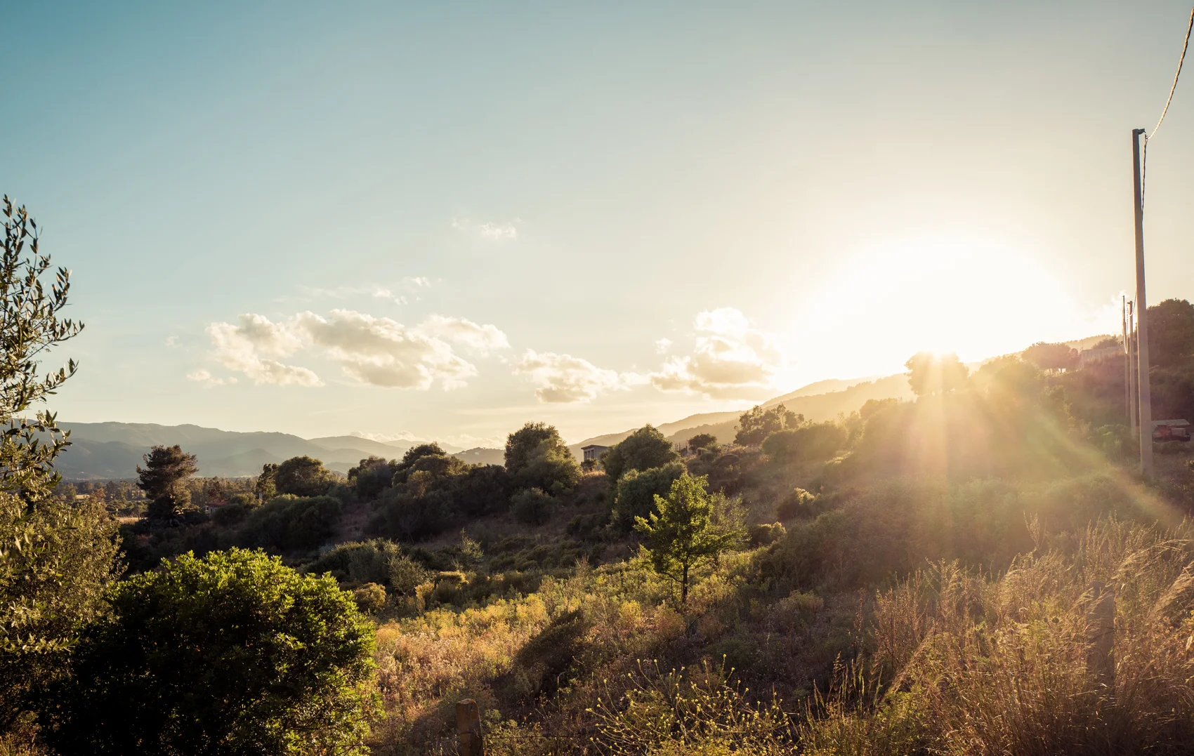 060517_sardegna_1276.jpg