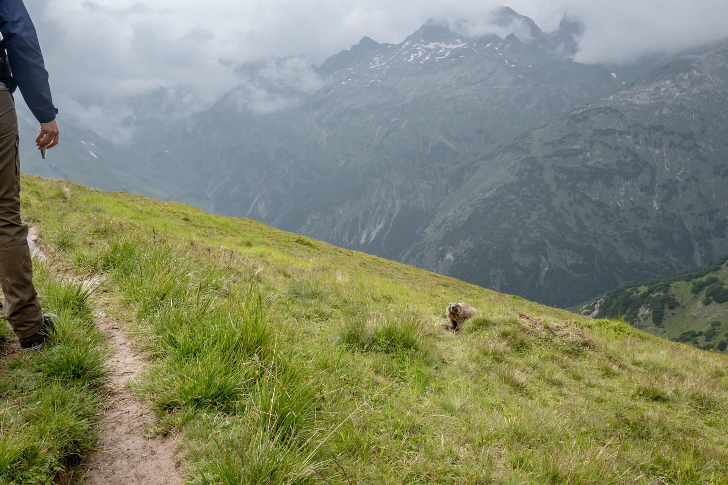 230718_alpenueberquerung_0159.jpg