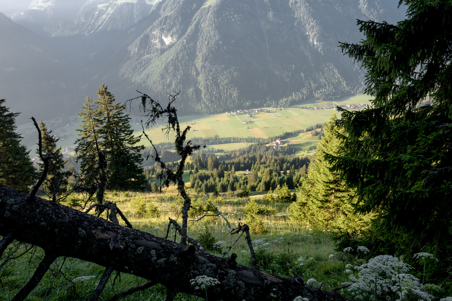 240718_alpenueberquerung_0231.jpg