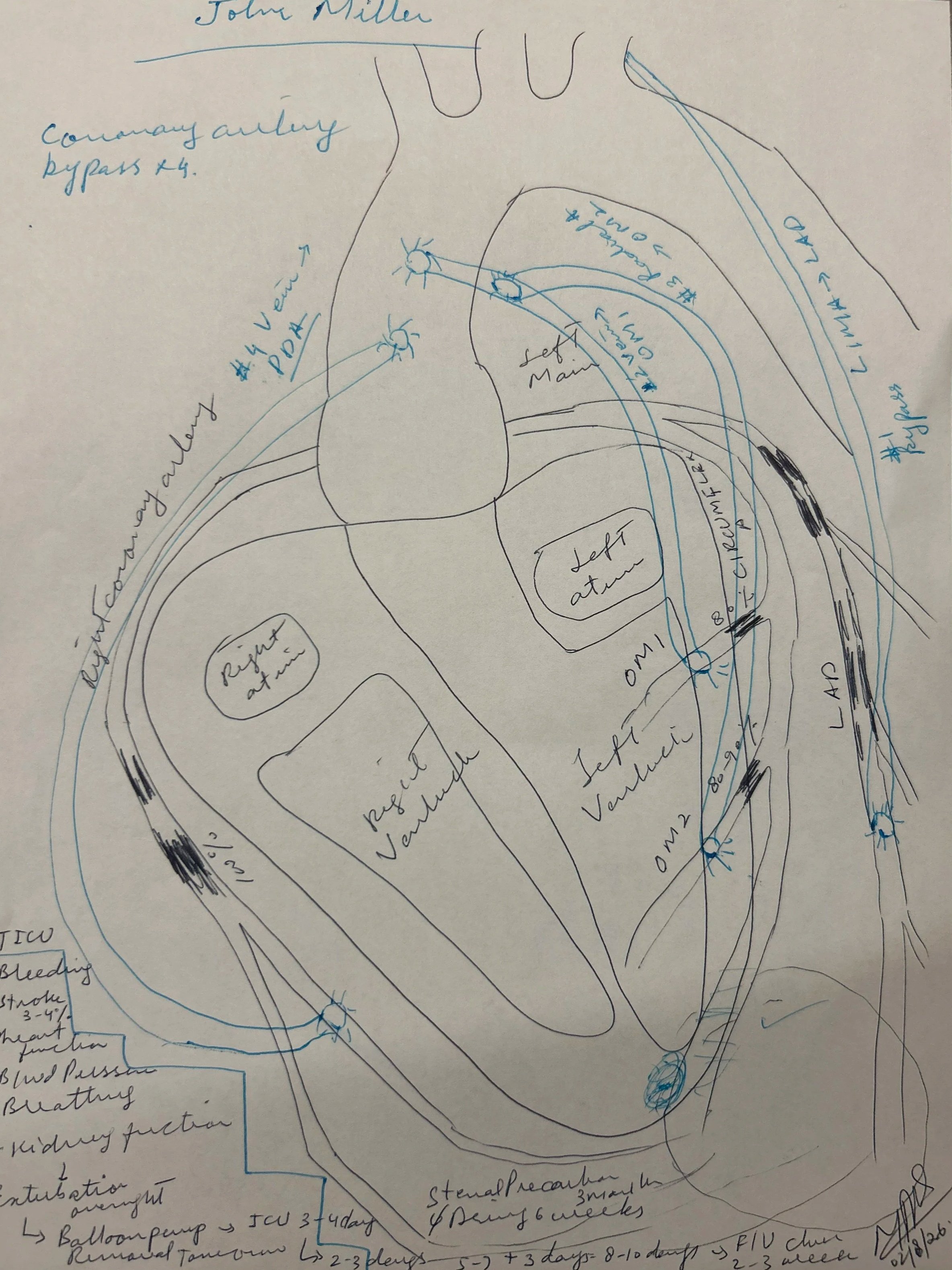A handwritten medical diagram of the human kidney showing structures such as the renal cortex, renal medulla, renal pelvis, and ureters. It includes notes on blood supply, kidney function, and related anatomy.