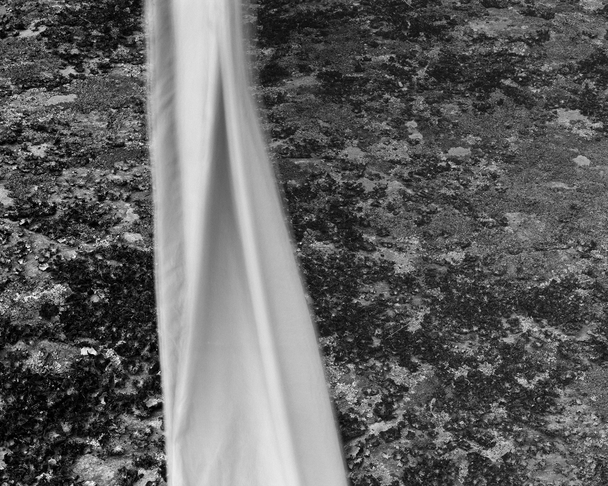 Cloth #03 2012 Silver Gelatin Print 1/18