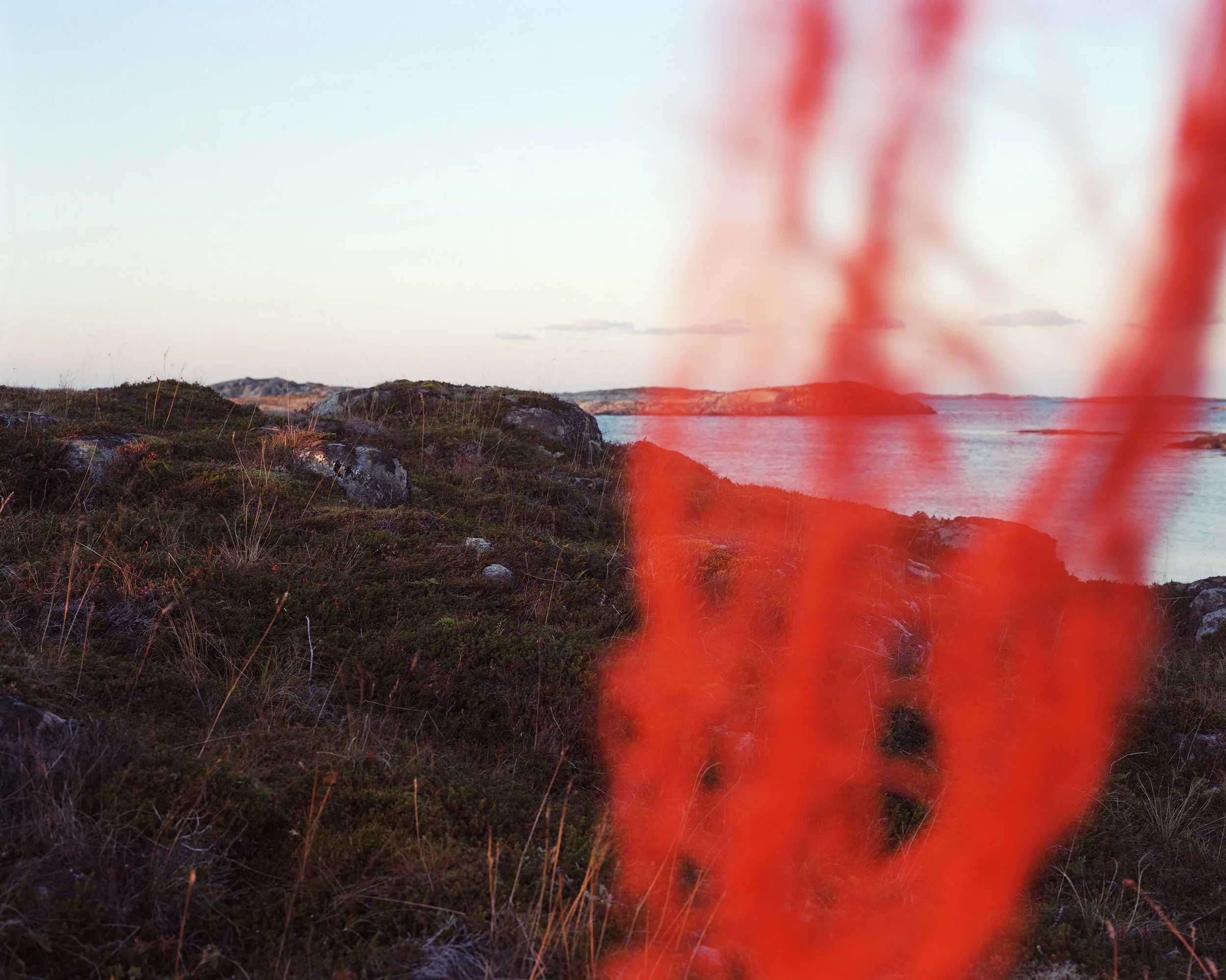 Red Fishing Net #01 2016 Analog C-print 125 x 100 1/8
