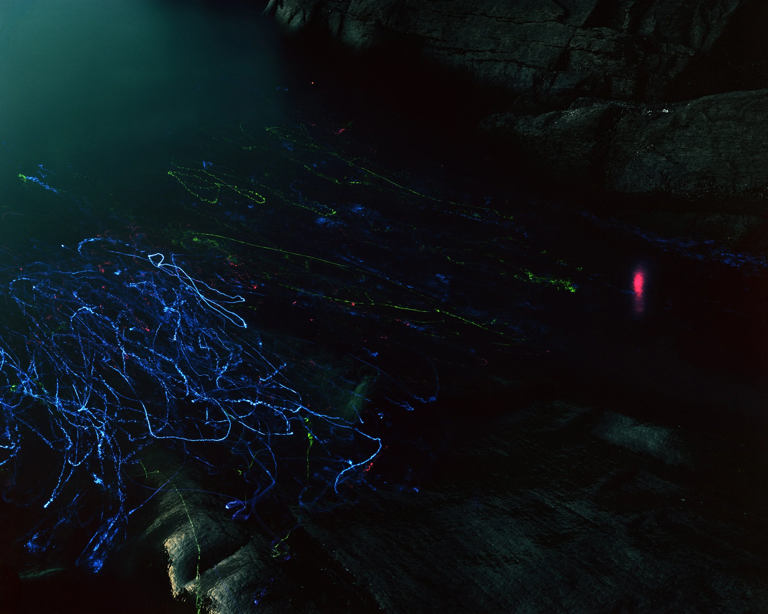 Red Fishing Net with LEDs #03016Analog C-print125 x 1001/8