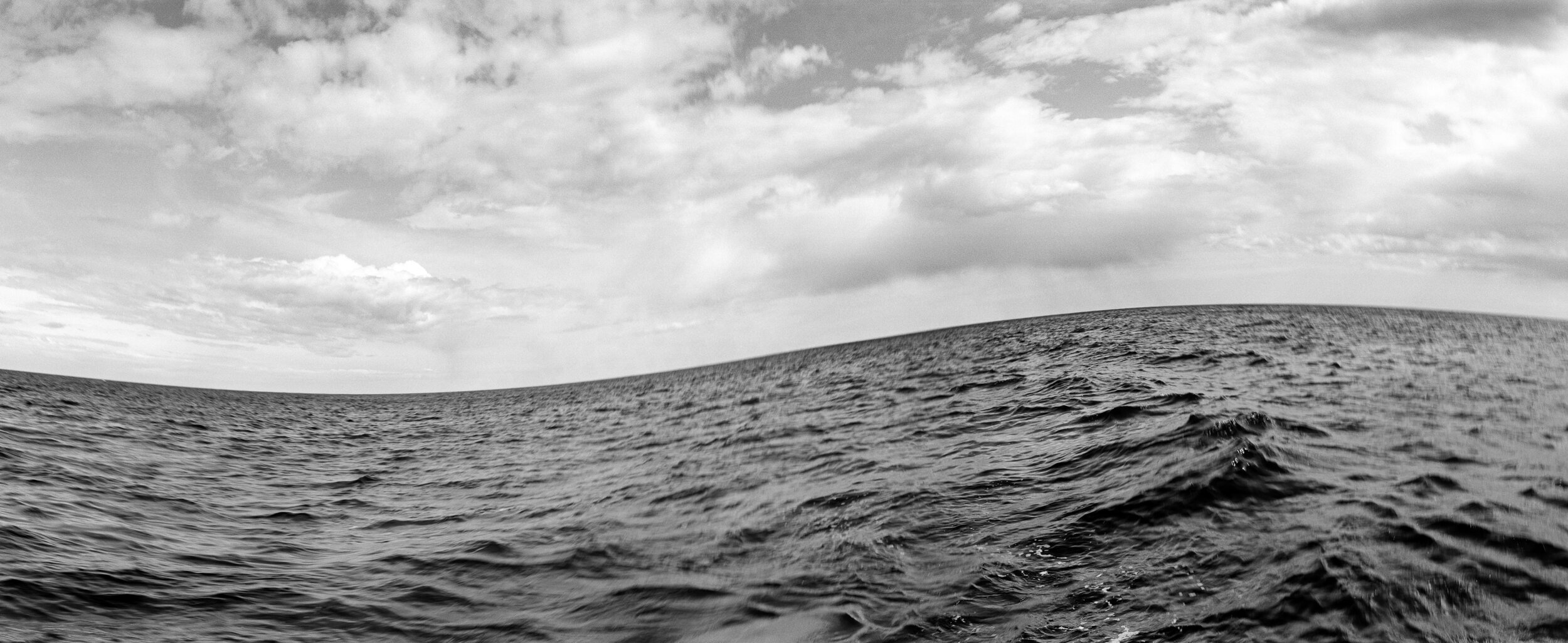 Untitled 2018 Silver Gelatin Print on fibre paper 170 x 70 1/3