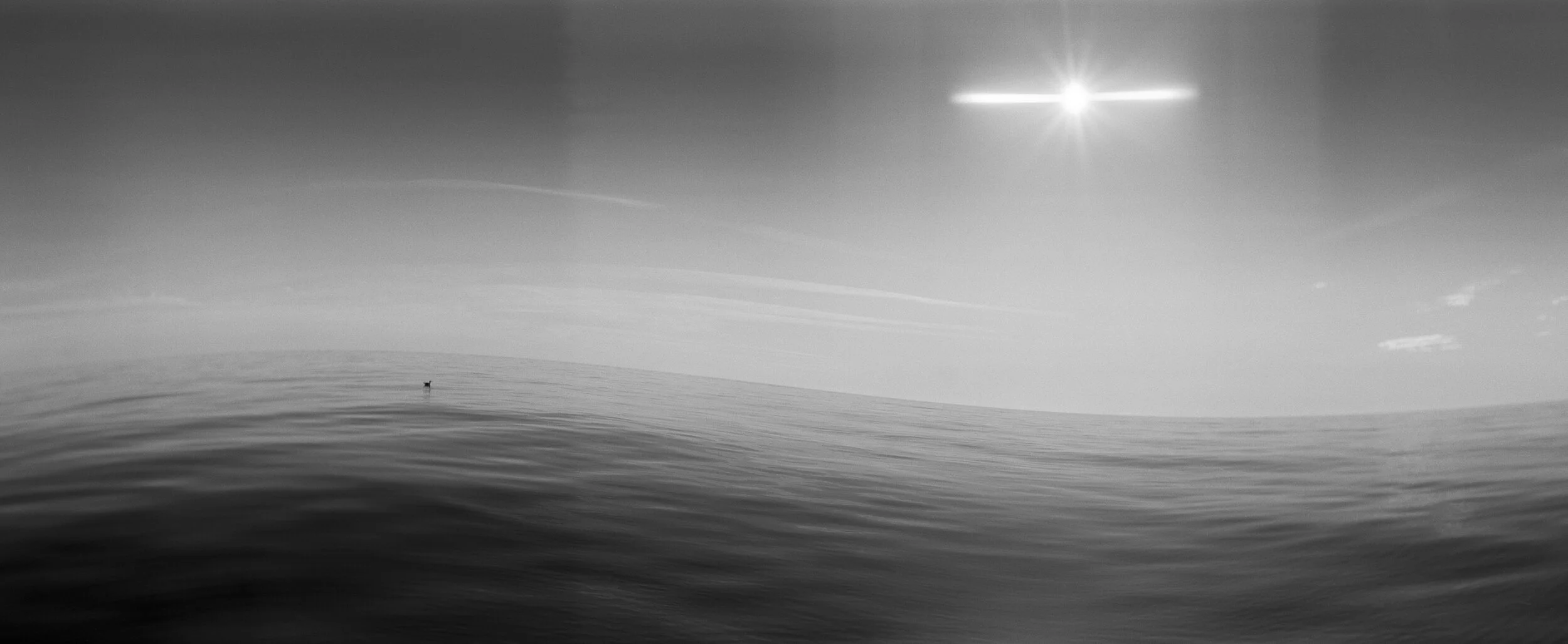 Untitled 2018 Silver Gelatin Print on fibre paper 170 x 70 Sold out