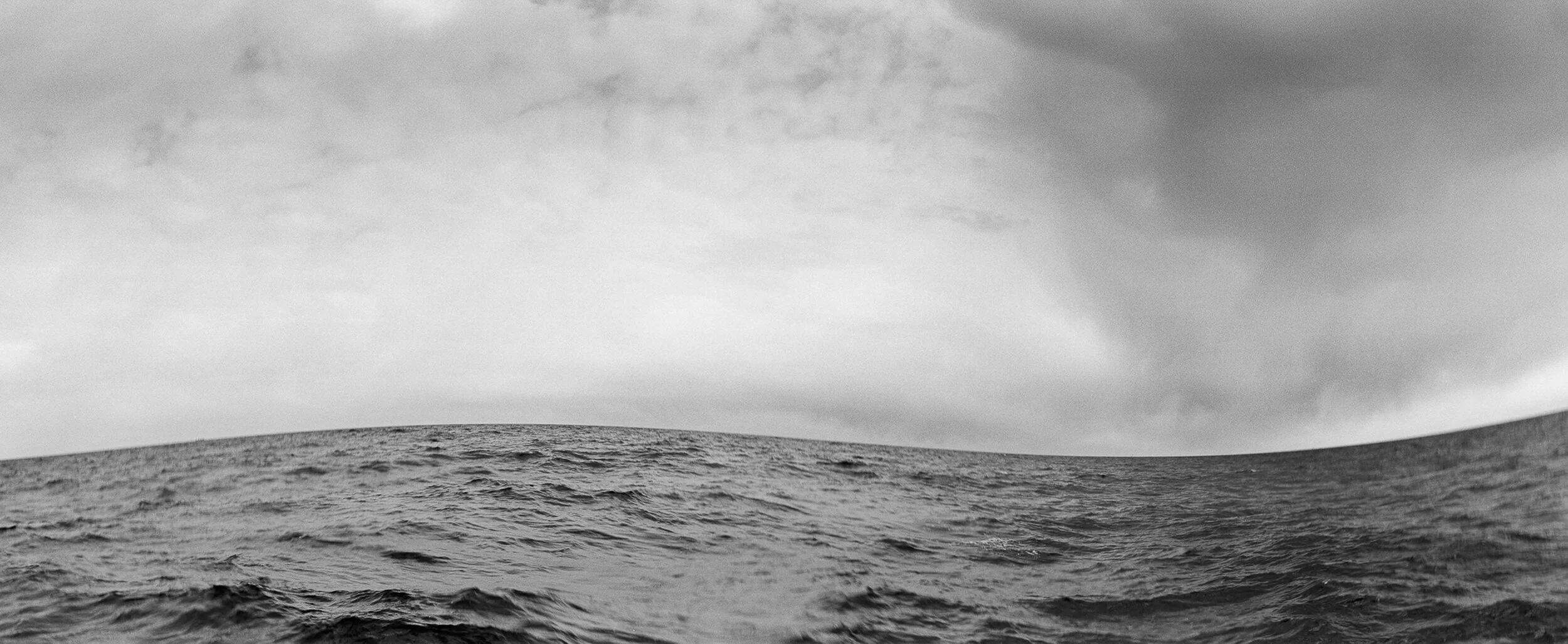 Untitled 2018 Silver Gelatin Print on fibre paper 170 x 70 2/3