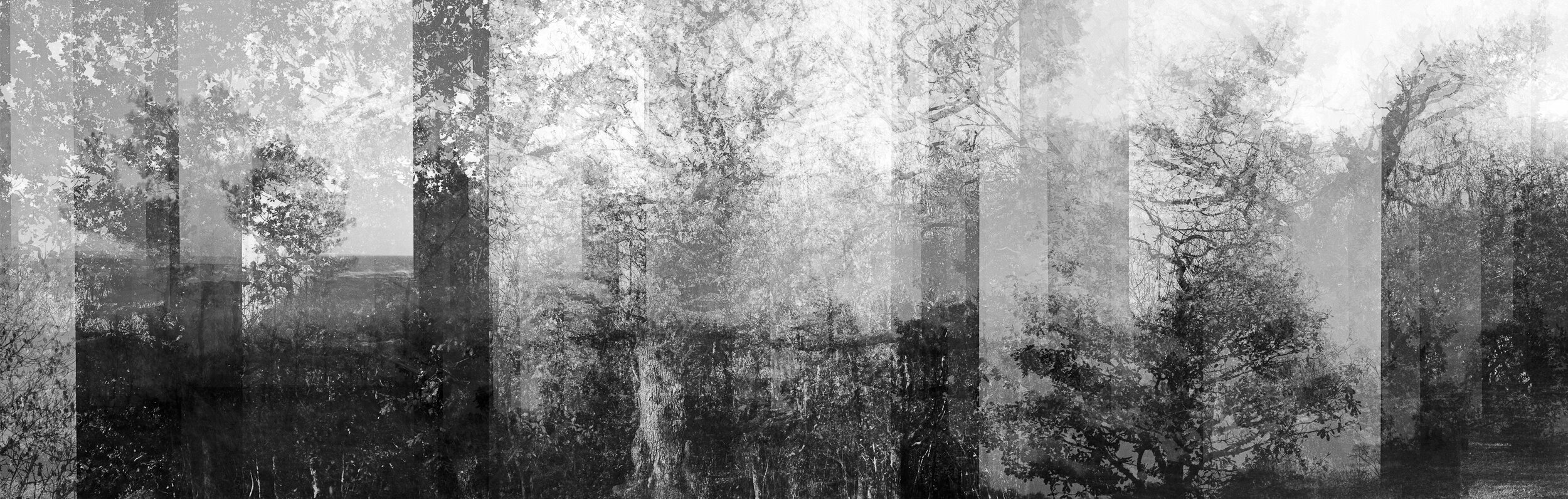 Untitled 2020 Silver Gelatin Print on fibre paper 150 x 50 1/3