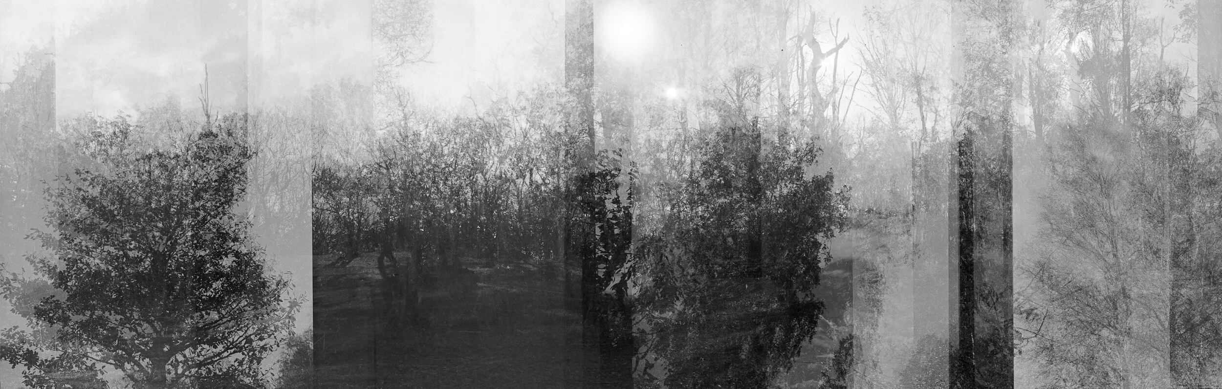 Untitled 2020 Silver Gelatin Print on fibre paper 150 x 50 1/3