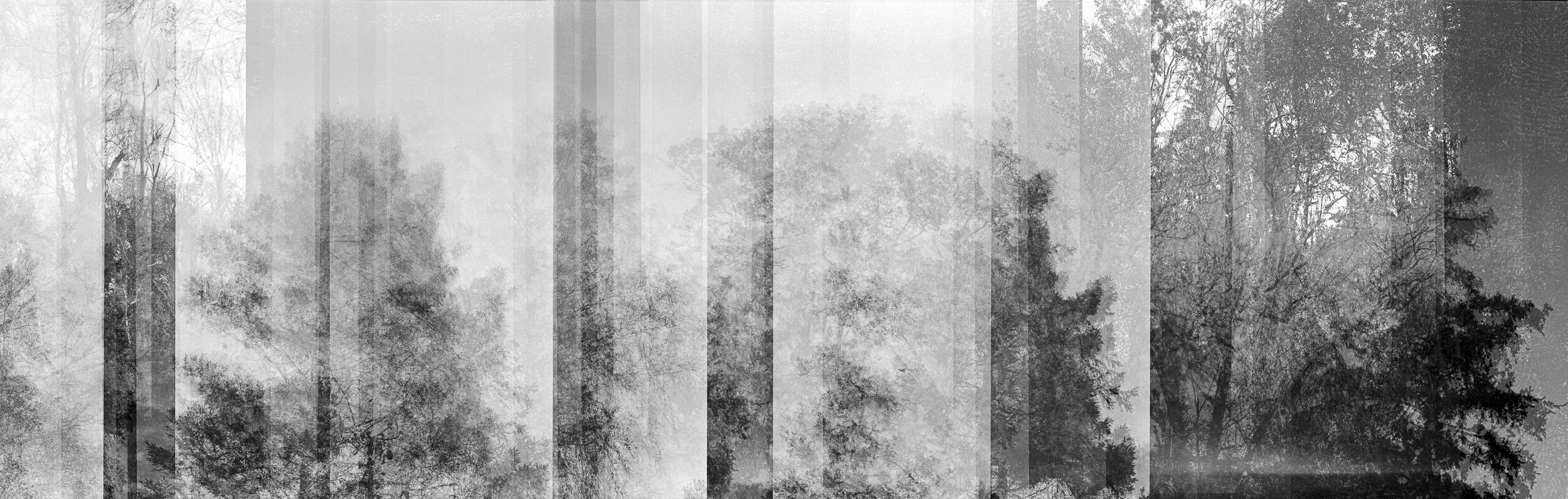 Untitled 2020 Silver Gelatin Print on fibre paper 150 x 50 1/3