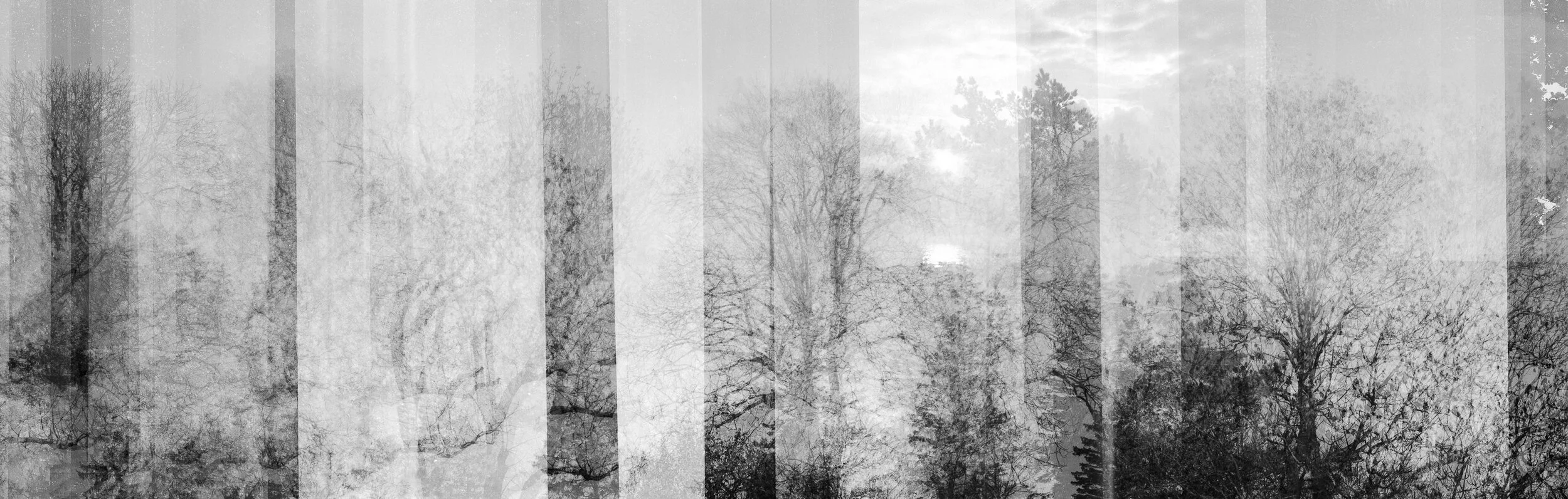 Untitled 2020 Silver Gelatin Print on fibre paper 150 x 50 1/3