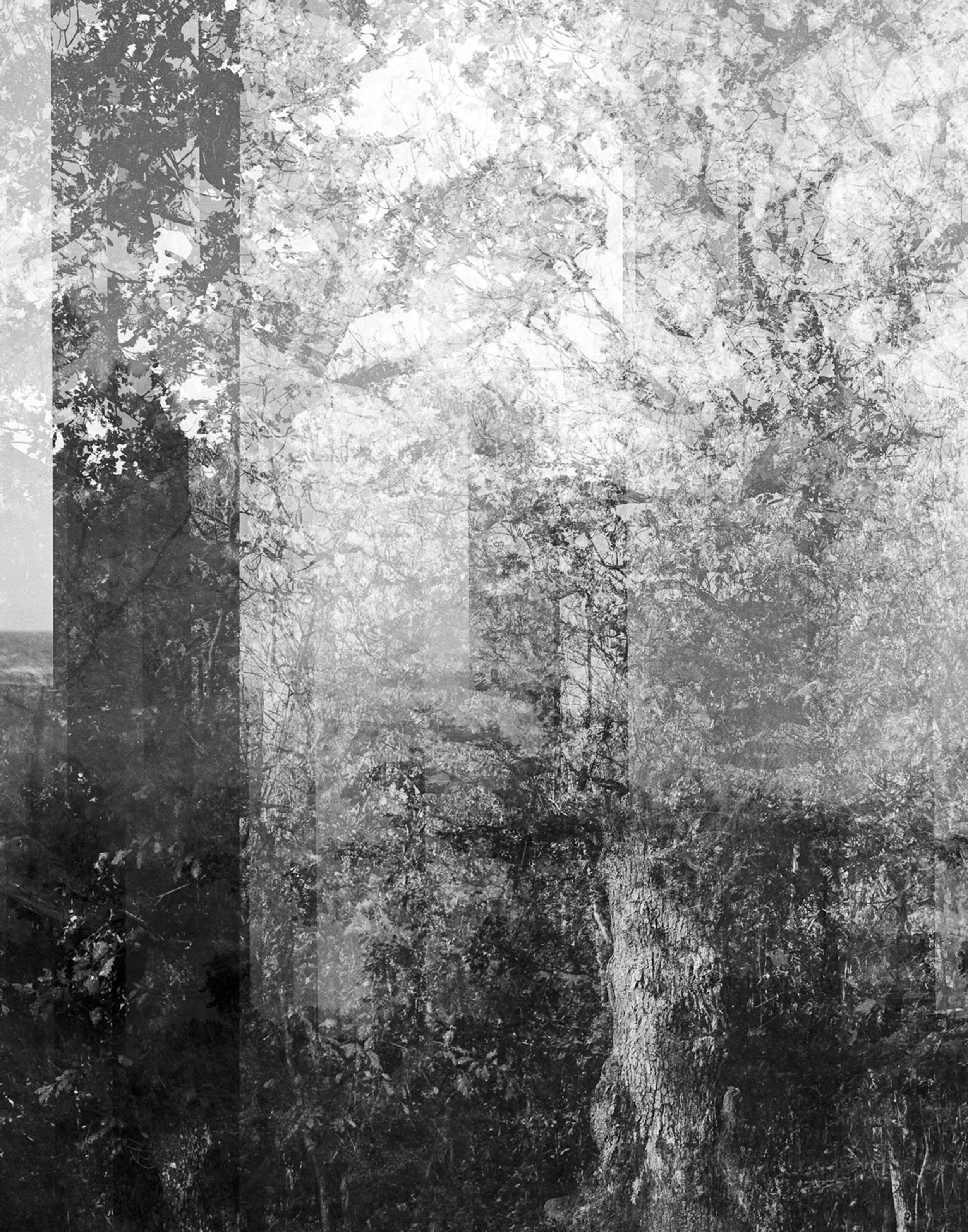 Untitled 2020 Silver Gelatin Print on fibre paper 37,5 x 50 1/5