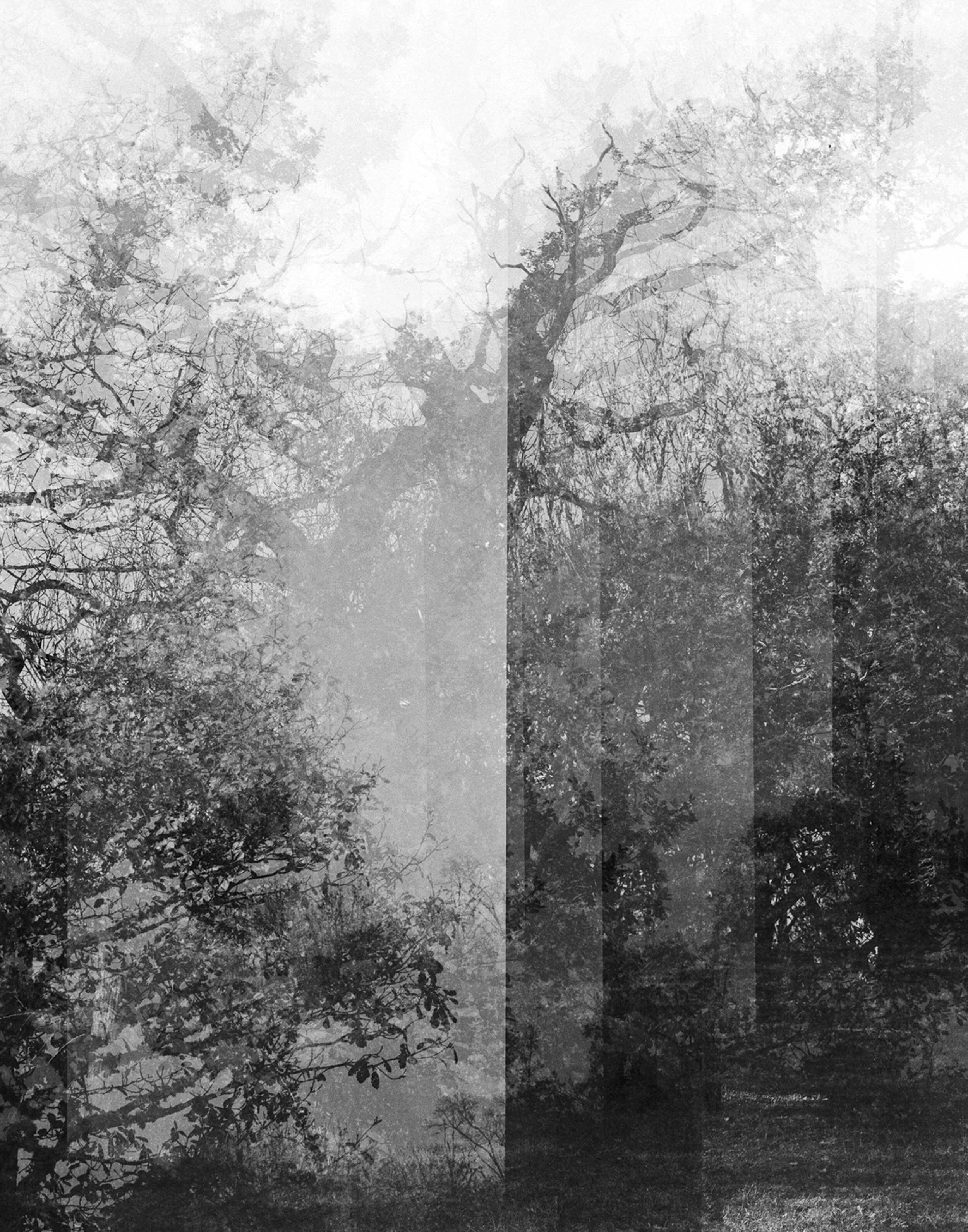 Untitled 2020 Silver Gelatin Print on fibre paper 37,5 x 50 1/5