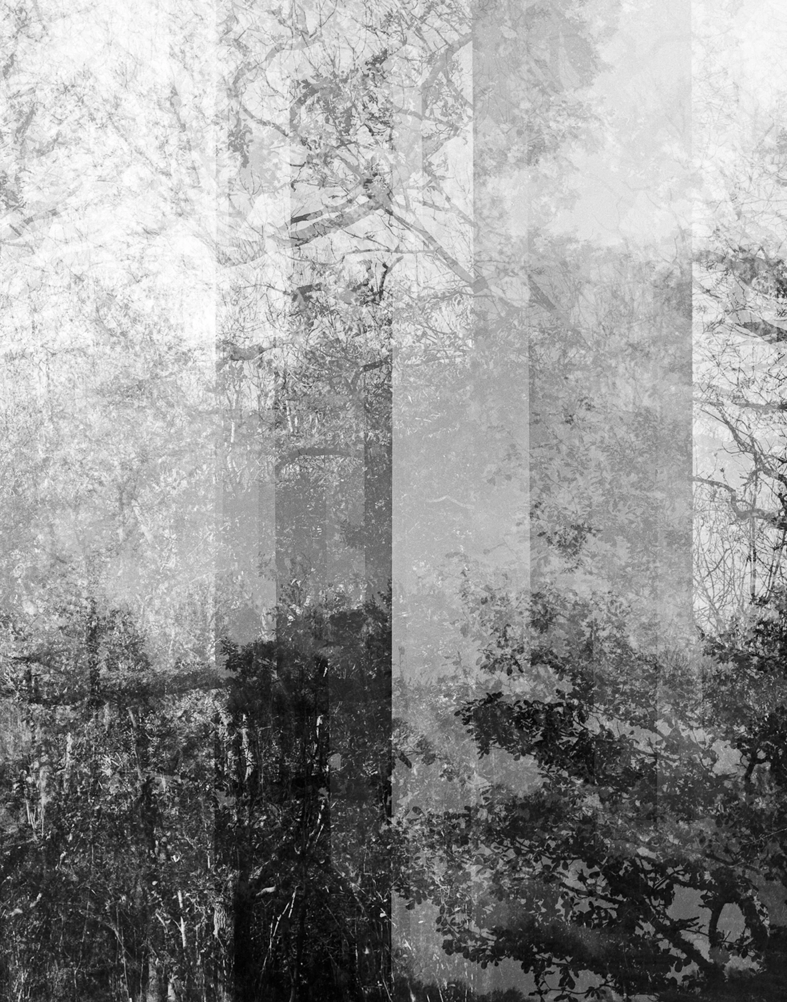 Untitled 2020 Silver Gelatin Print on fibre paper 37,5 x 50 1/5