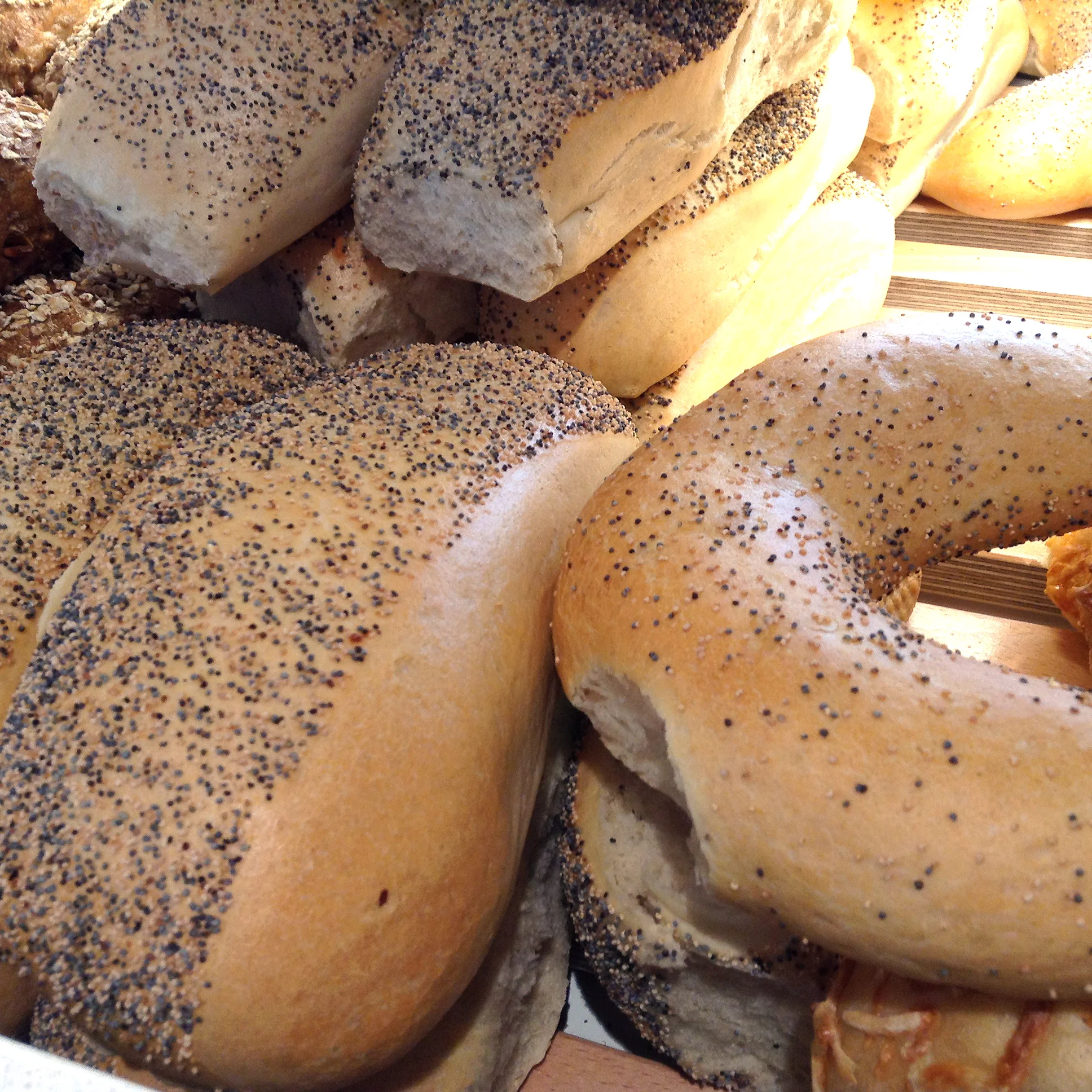 Fine Tebriks og fr+©horn.JPG