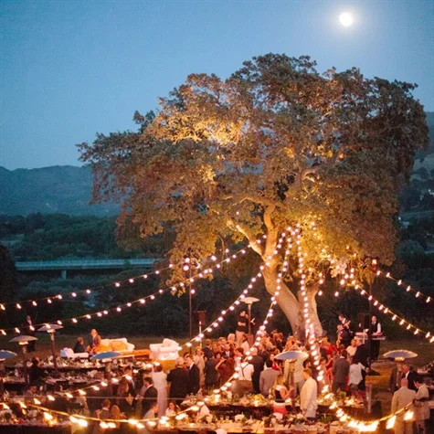 SPG_Wedding_Lighting_Ideas_001.jpg