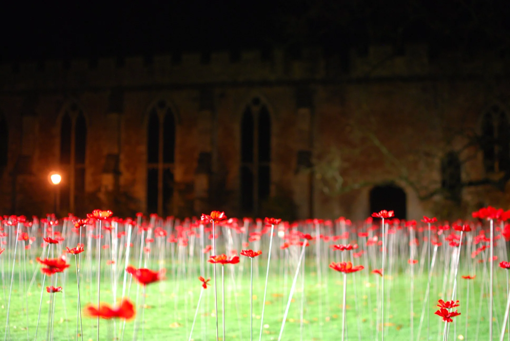 Poppies of Somerset 2018 Bishops Palace Wells