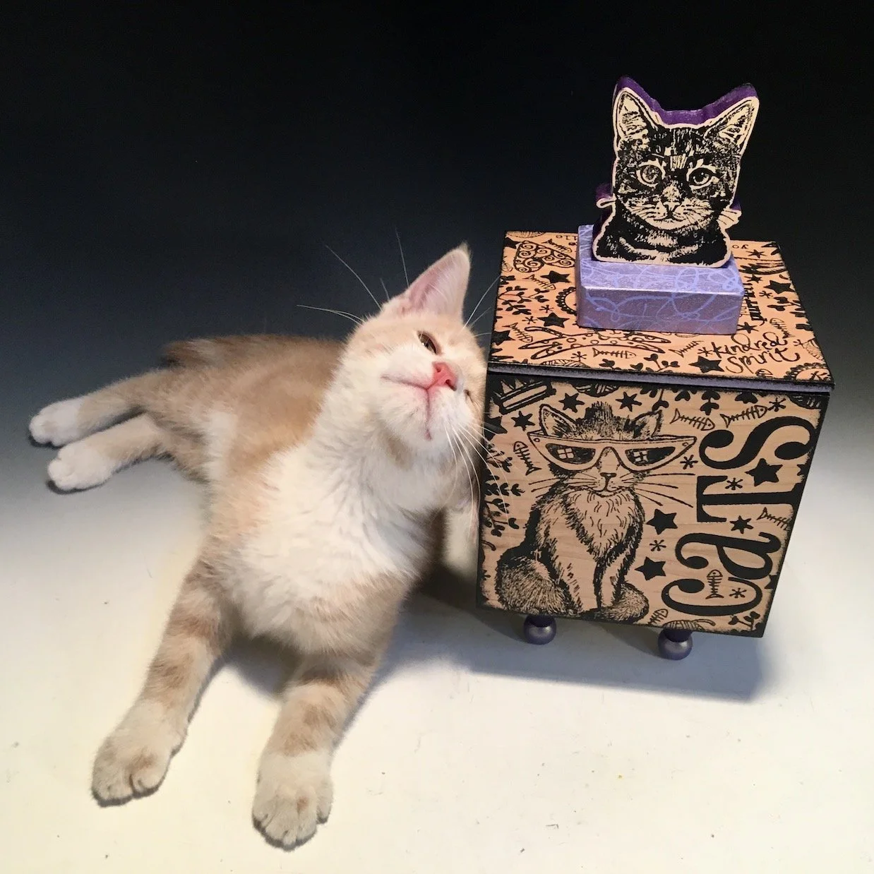 CatBoxPablo.JPG