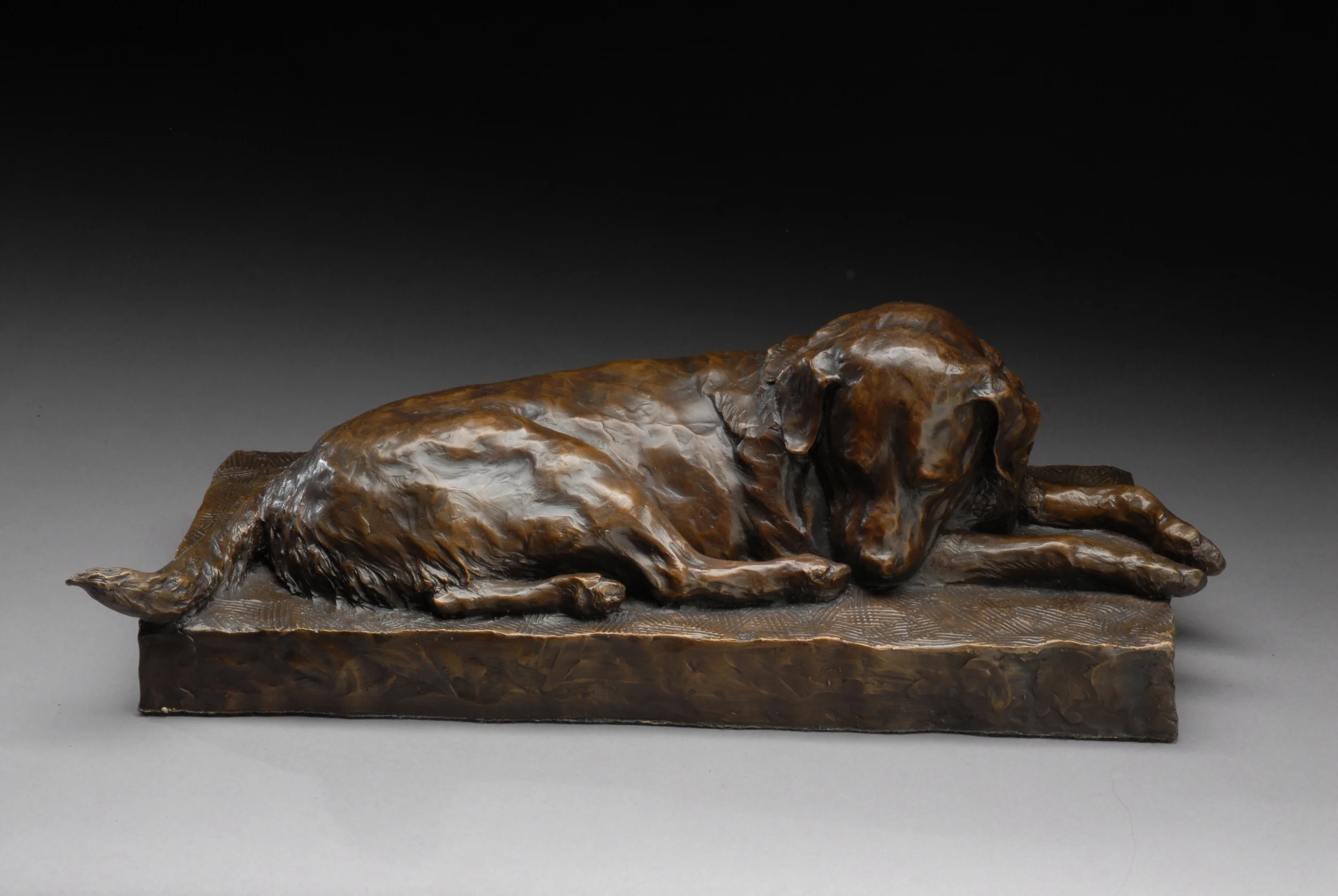 Resting Labrador Bronze