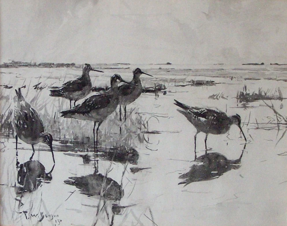 Frank W. Benson (1862-1951) Dowitchers