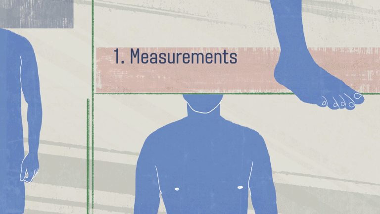 measurements.gif
