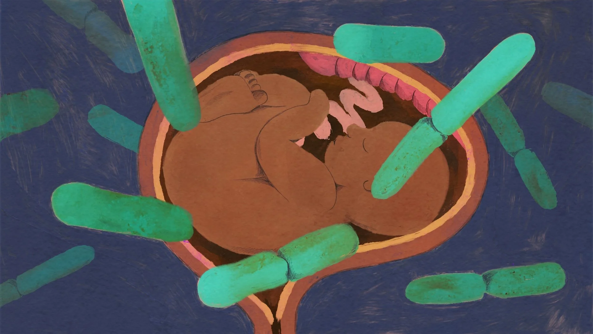 BBCFuture_VaginaMicrobes02.jpg