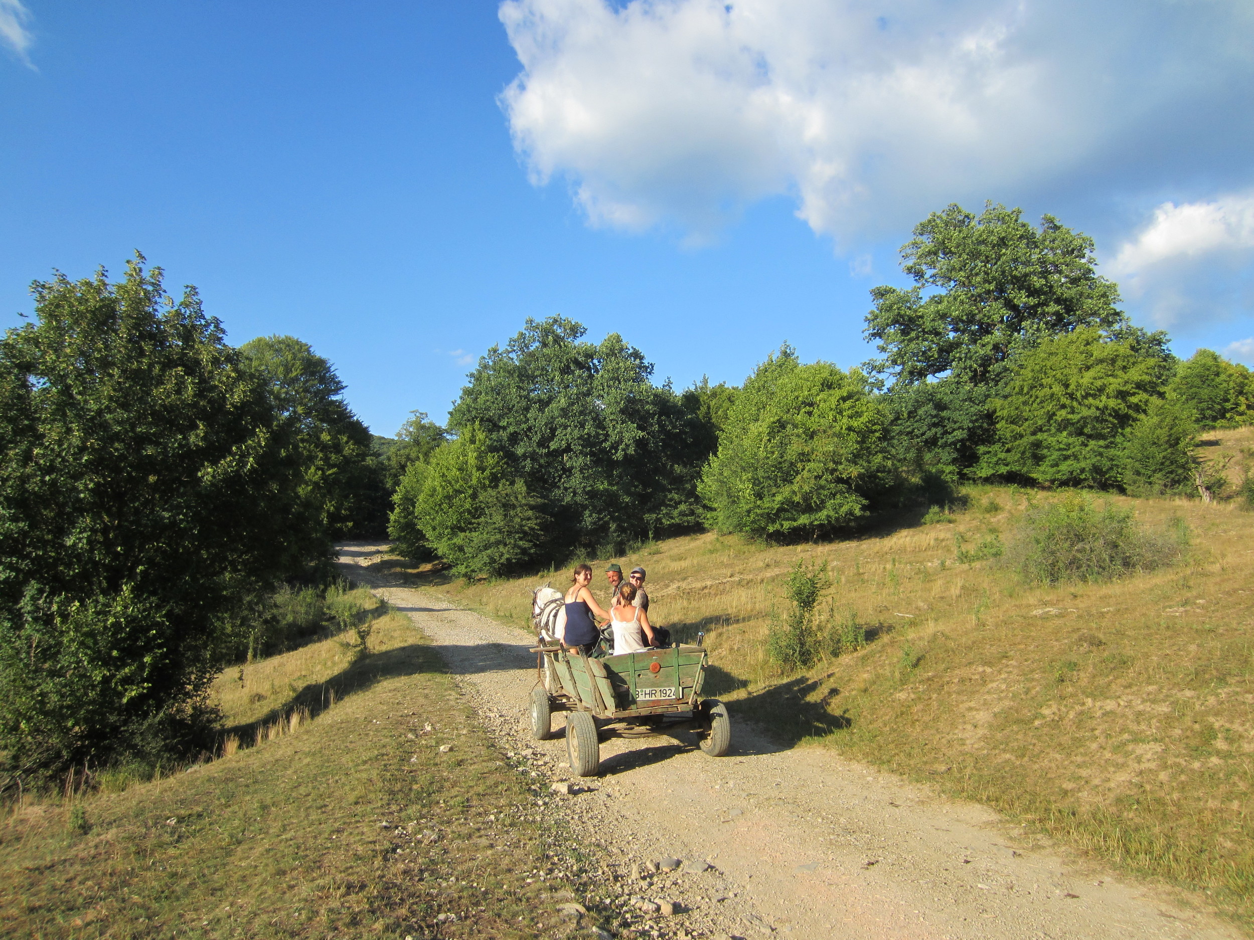 One of the more stable horse-drawn carts we encountered; manned by a sheep herder we regularly encountered using his cell phone!