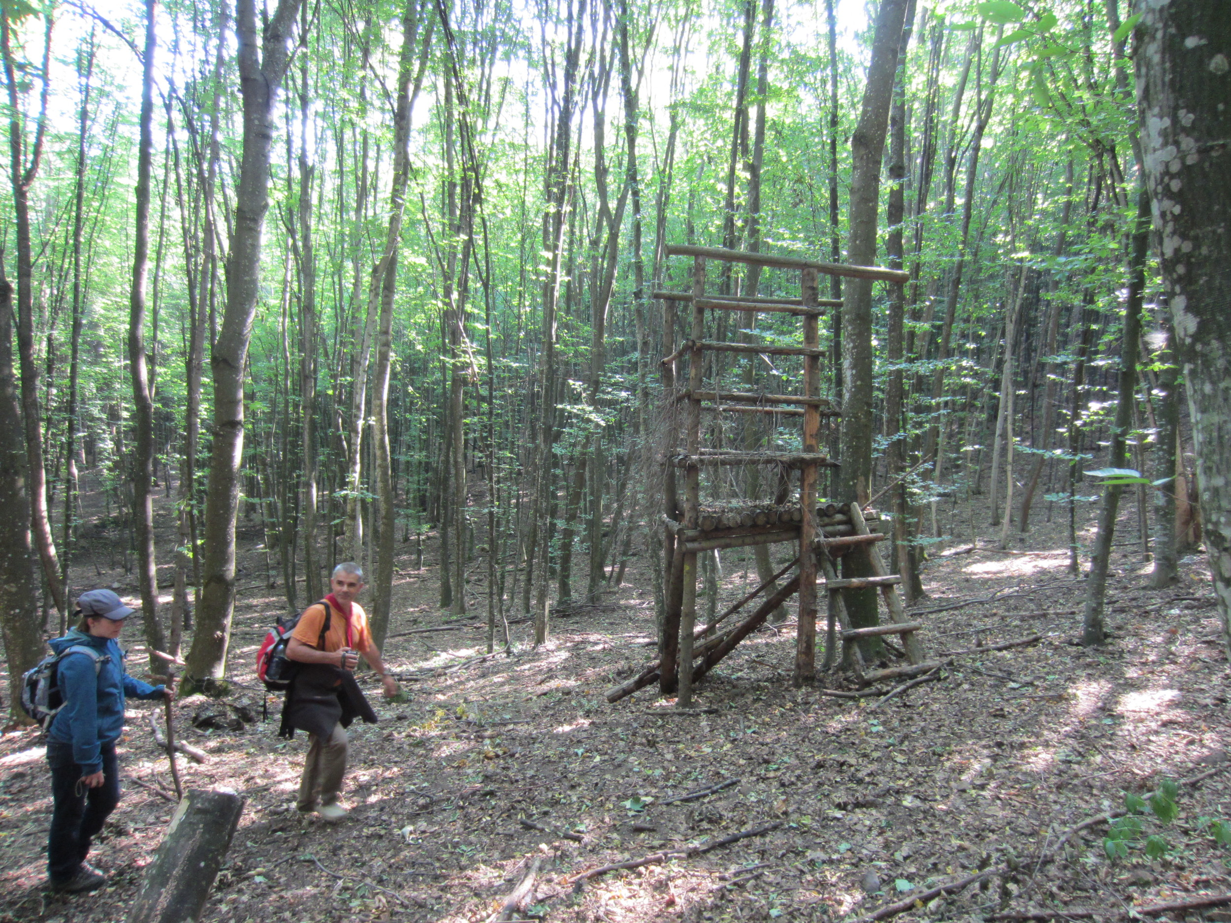 Perches for hunting wild Boars. For years, only Ceausescu was permitted to hunt here, allowing the wildlife to flourish.