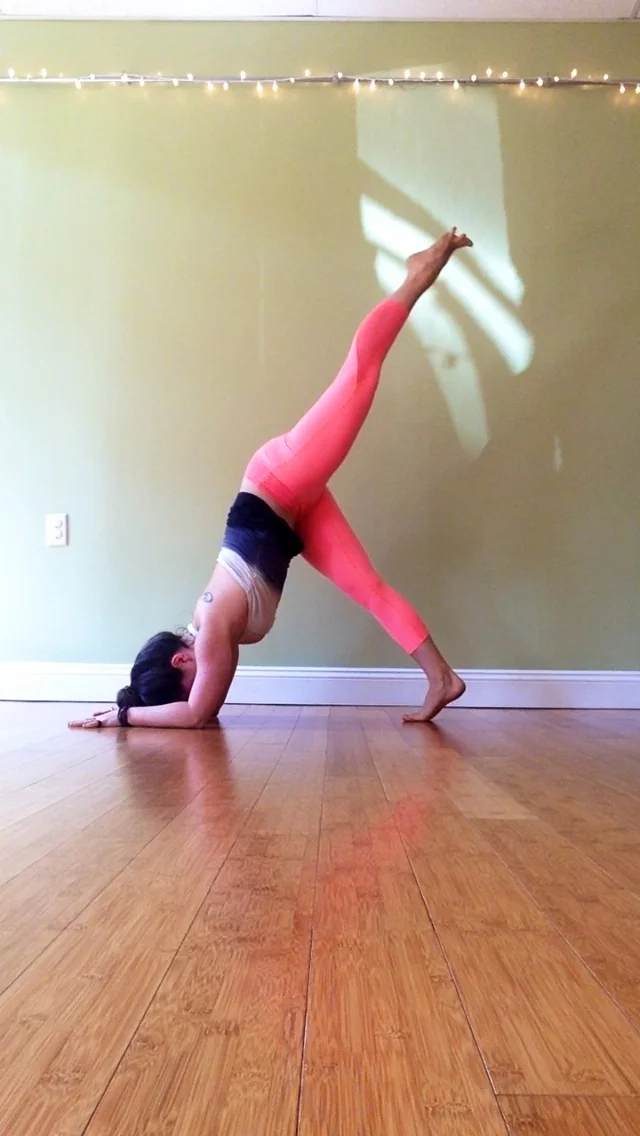 In Dolphin pose, take an inhale and slowly lift one leg toward the sky. Try to keep your hips square as you extend and engage the lifted leg, spreading your toes (this really does help!) Press into your forearms, press your heart toward your legs, relax the gaze and breathe. Keep your leg lifted for 5-10 breaths before lowering it and lifting the other leg. 