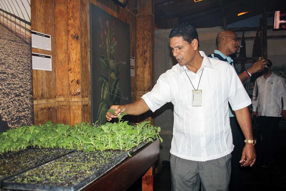 Leoncio Cruz inspecting the seedlings.