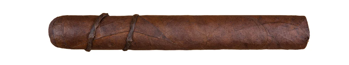 Cigar Snob Top 25 - 16 - CAO Amazon Anaconda.jpg