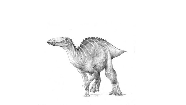 Edmontosaurus