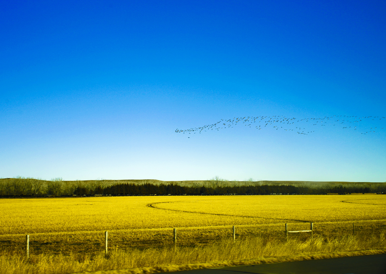 Cross-Country