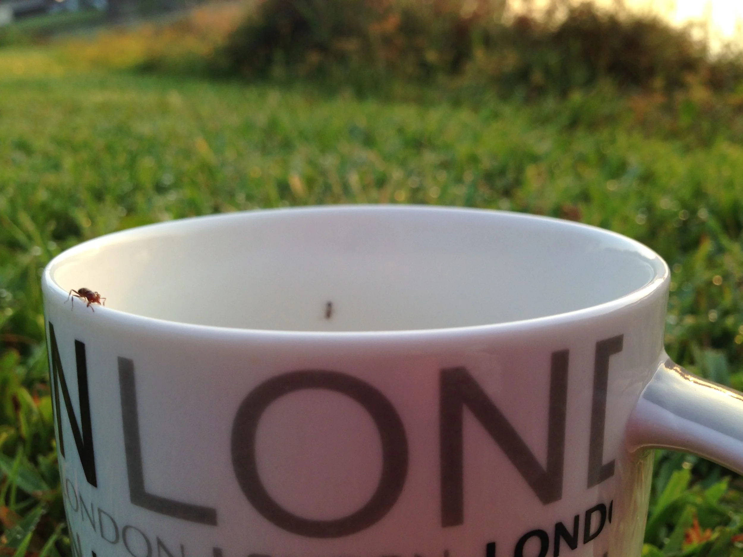 coffee.jpg