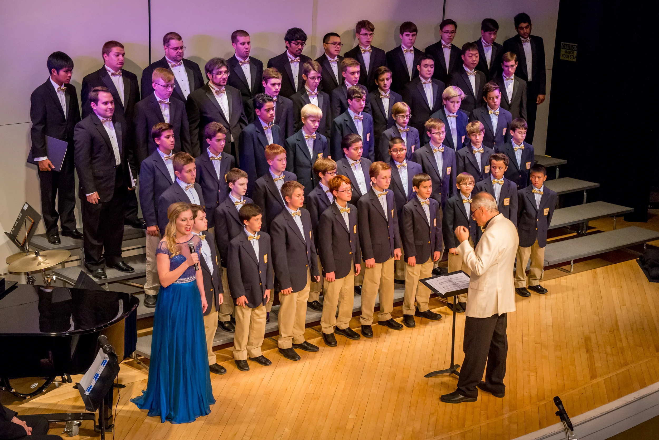  (c) Denny Collins 2015 