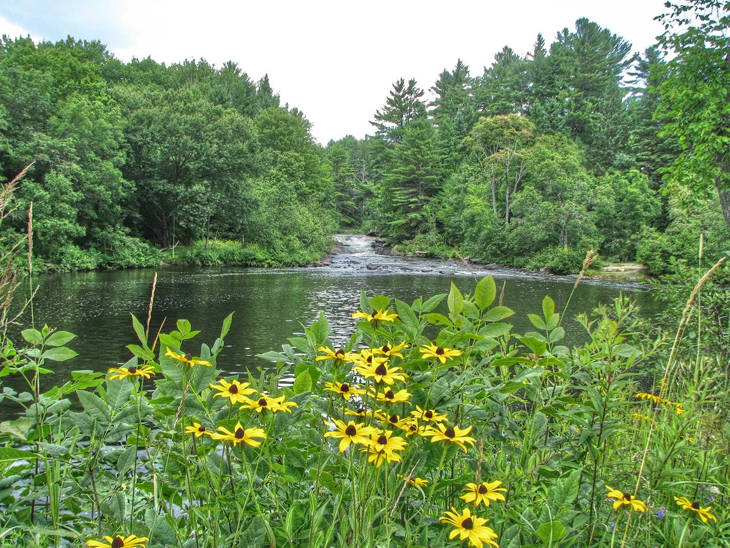 Geocaching Capital of Canada GeoTour Kick-Off Event Cache