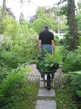 Kem walking away web.jpg