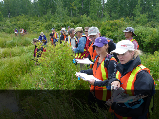 Aquality Wetland Courses